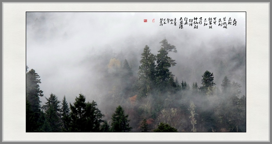 雨后清秋 摄影 南岸居士