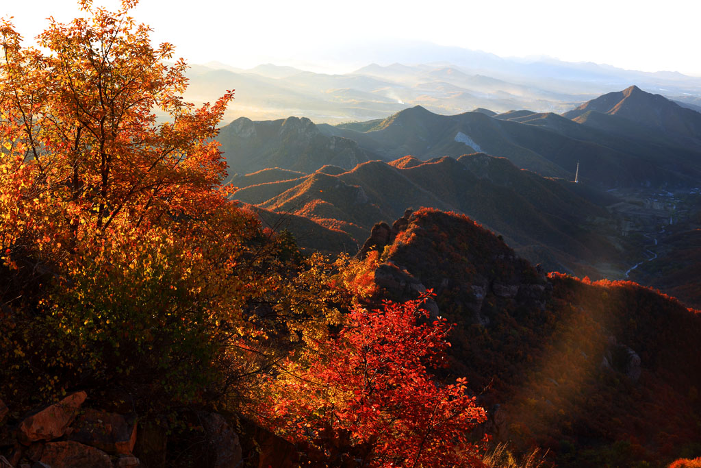 枫语秋山 摄影 湛思