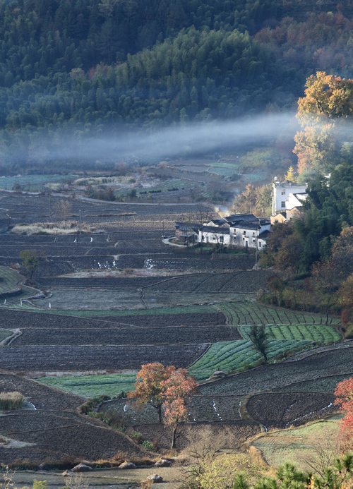 塔川秋色 摄影 西行者2010