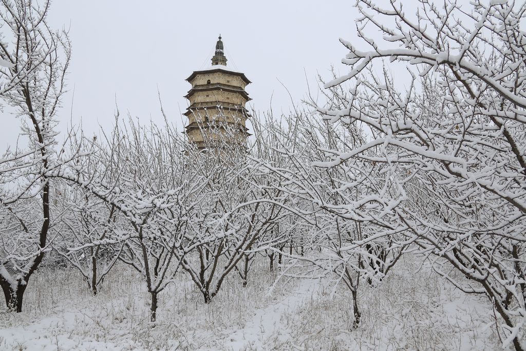 古塔瑞雪情 摄影 七月虎