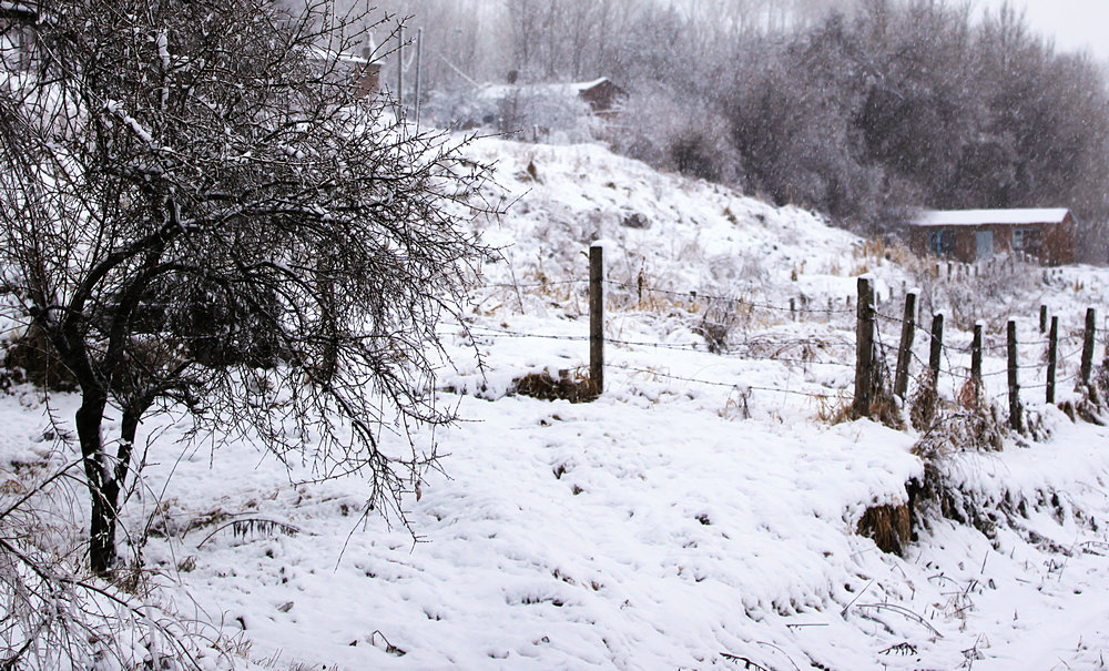 雪山人家 摄影 休闲摄猎