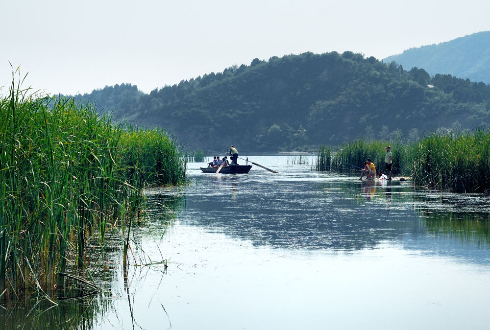 夏天的尾巴 摄影 luzhouzjy