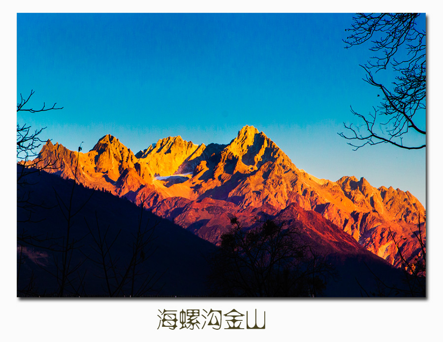 海螺沟金山（贡嘎山姊妹峰） 摄影 雪山草地