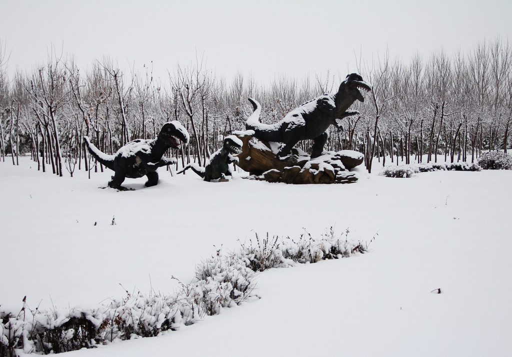 恐龙嬉雪 摄影 新不老