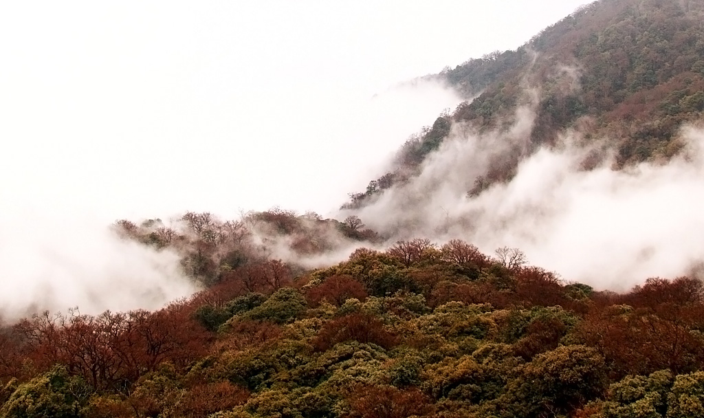 层林尽染 摄影 liangdawei