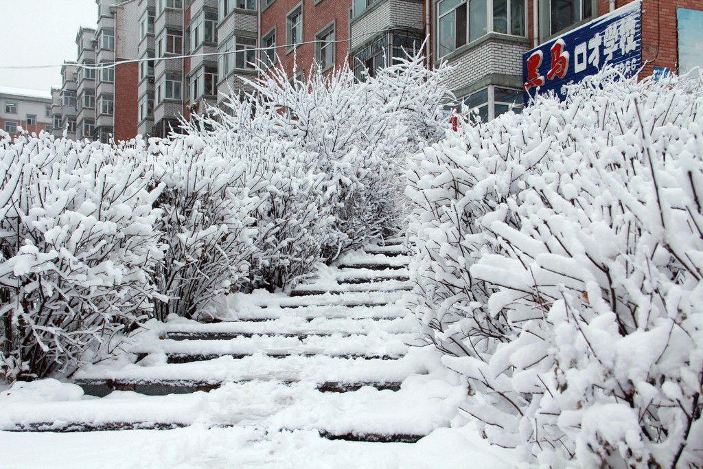 我家门前的雪 摄影 东北汉子