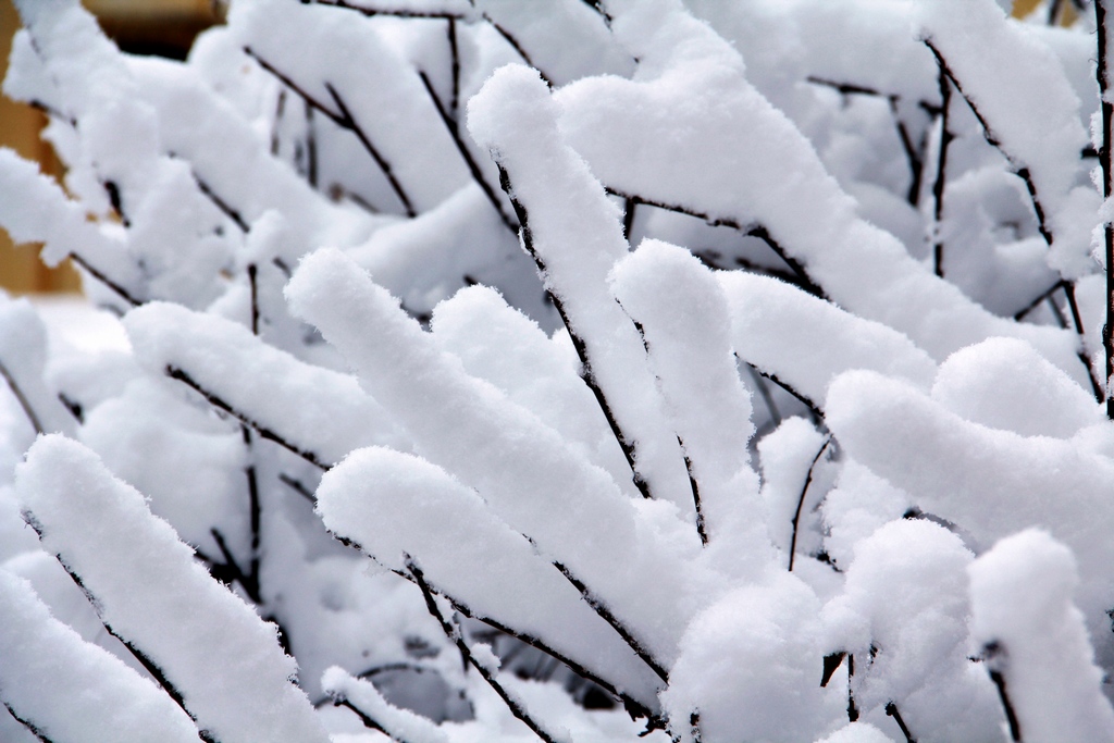 我家门前的雪 摄影 东北汉子