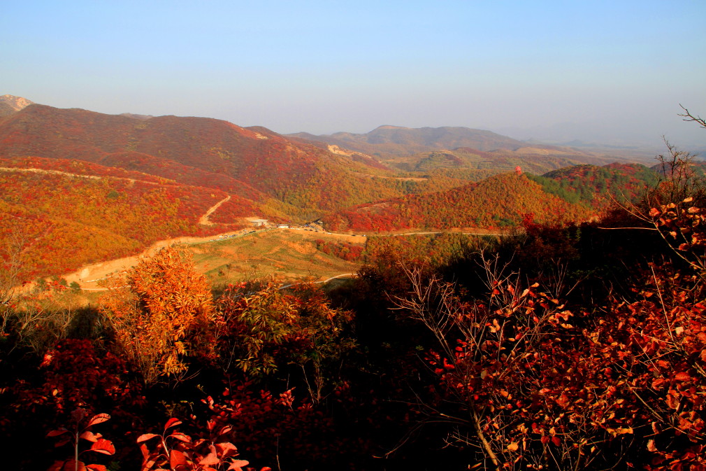 万山红遍 摄影 曙光召唤