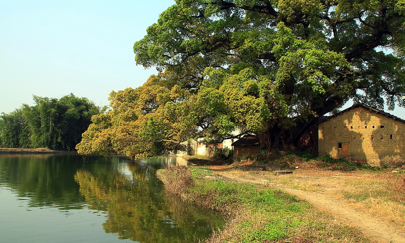 乡村 摄影 congmingshu