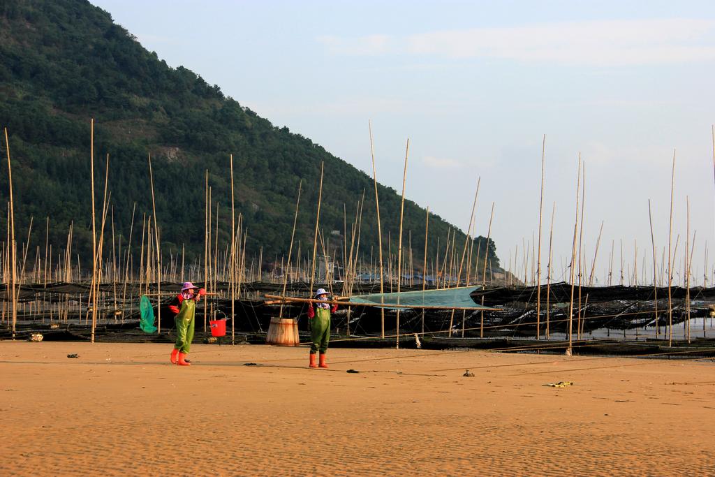 走进霞浦....滩涂风景3 摄影 月亮船