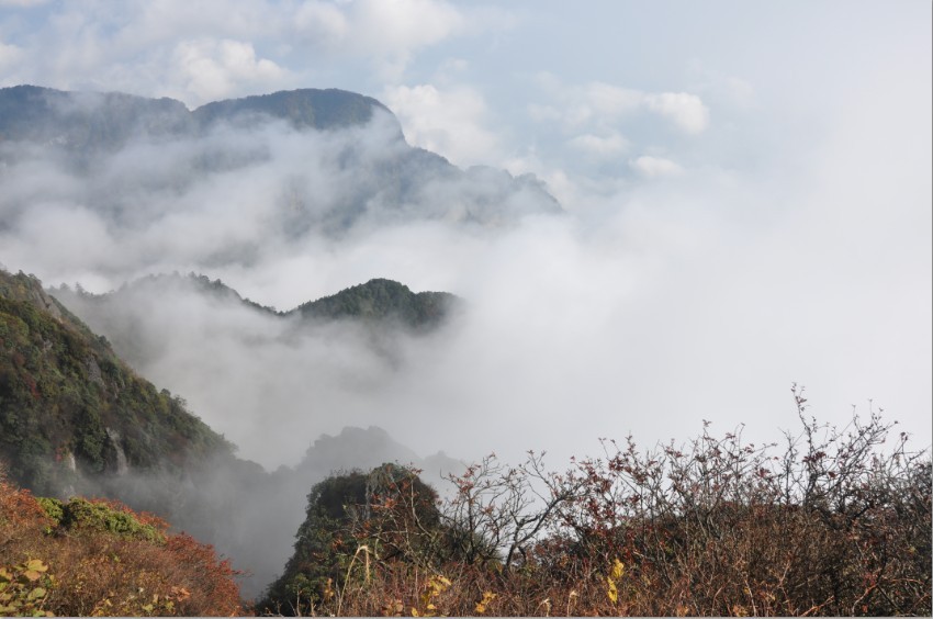 云雾峨嵋 摄影 心向太阳