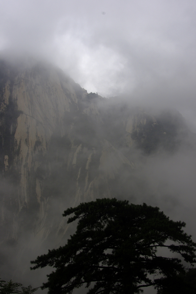 云雾华山 摄影 静海愚公