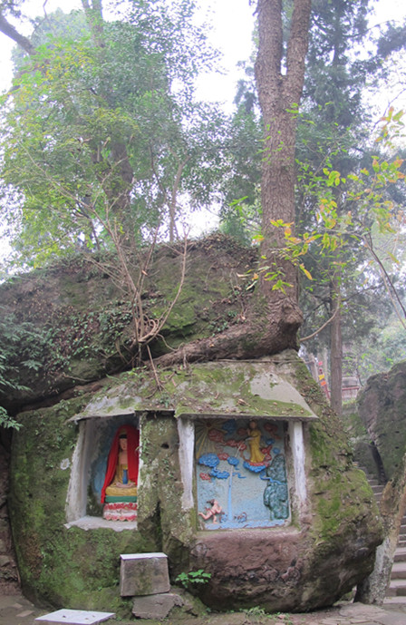 树与佛-—乐至报国寺 摄影 回眸瞬间