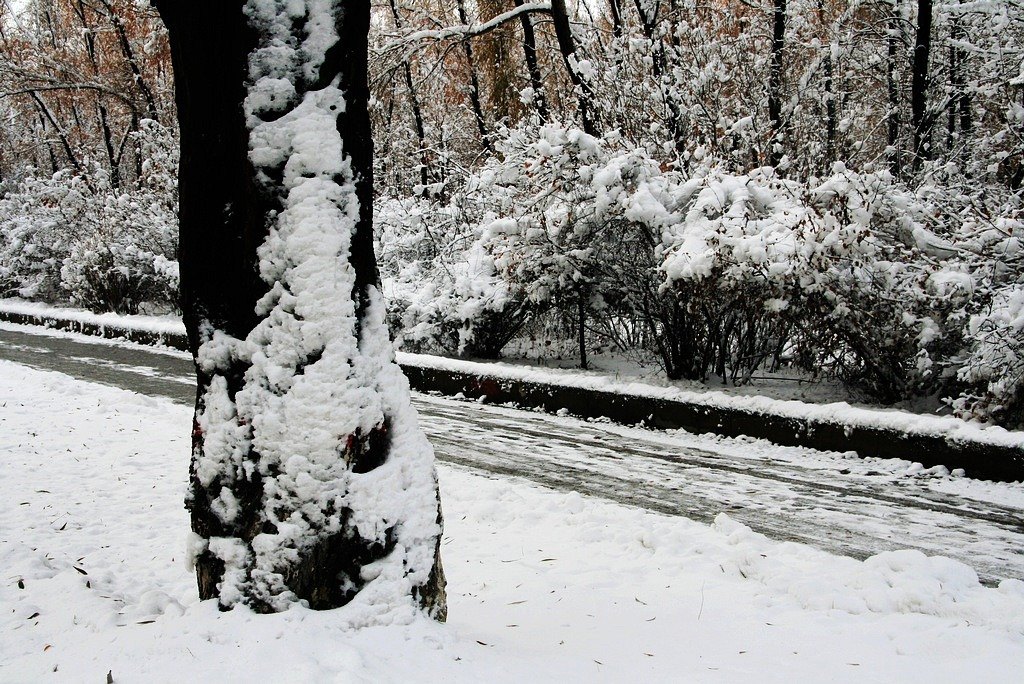 冰魂雪魄 摄影 秋水孤鹜