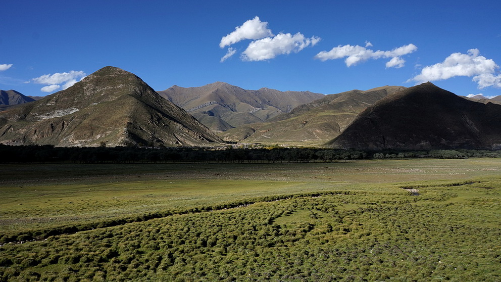 路上的风景——米拉山口西侧高山草甸 摄影 Jansion