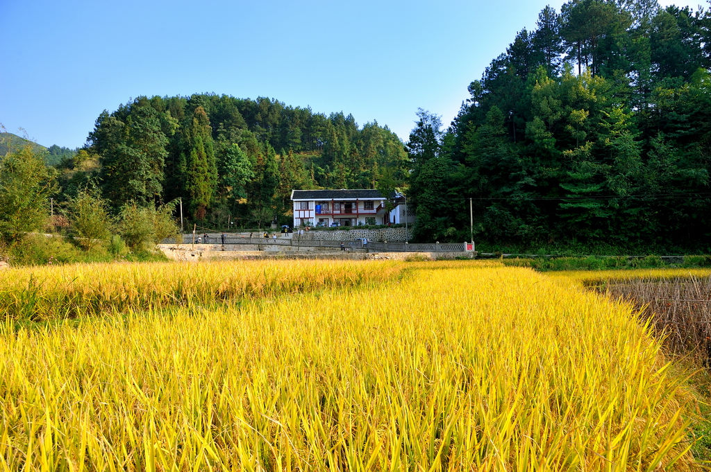 瓮安乡村民居 摄影 老秋叶