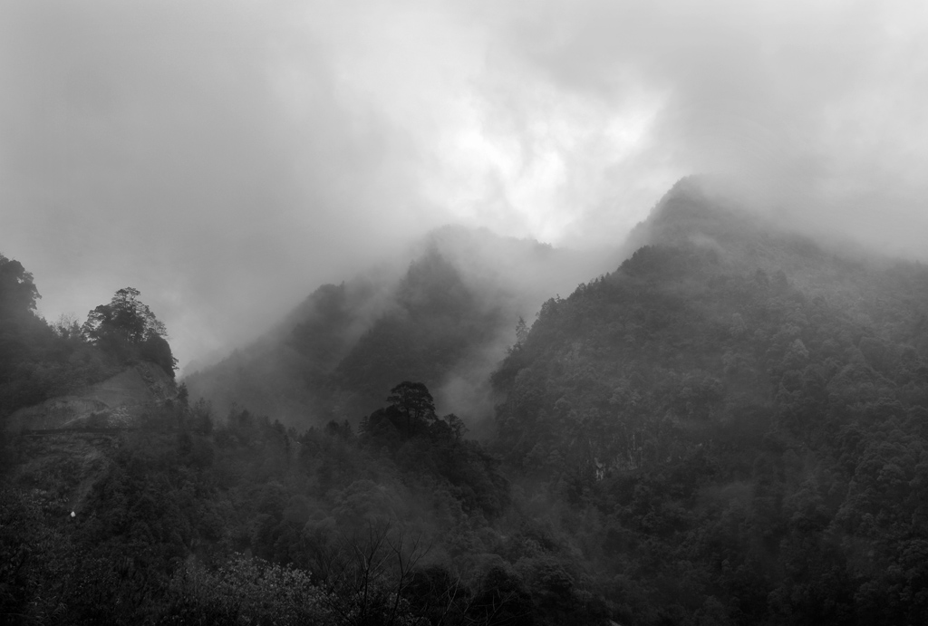 迷 摄影 湛思