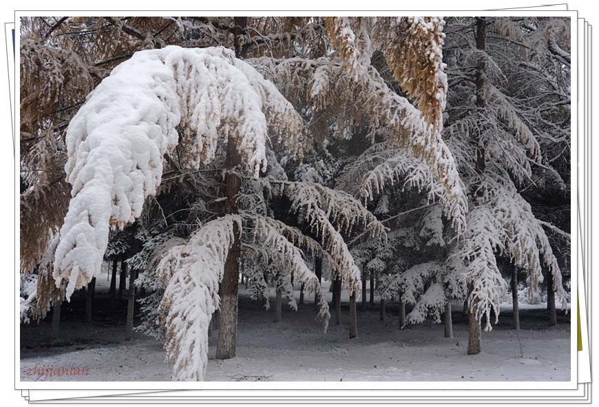 今冬仍有雪（2） 摄影 指间.蓝