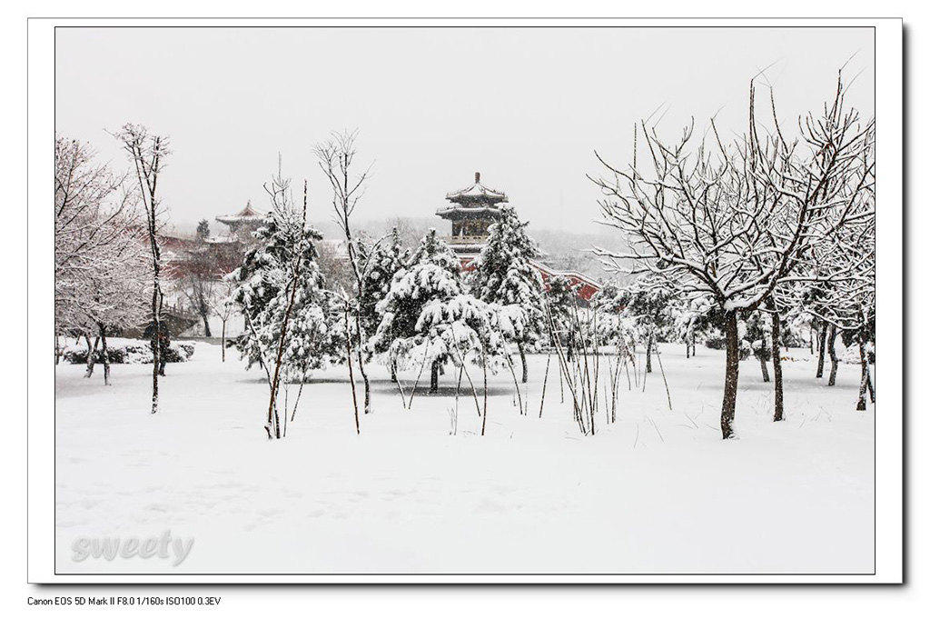 玉佛苑雪景 摄影 糖果sweety