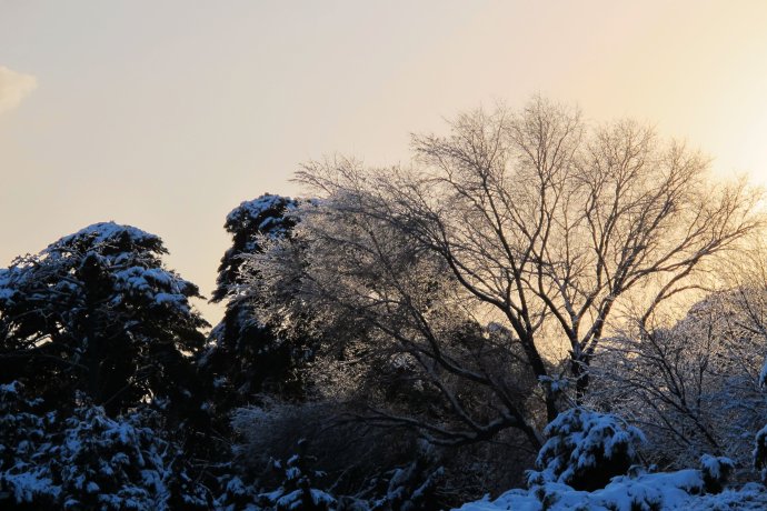 盛京大雪 摄影 叶枫红