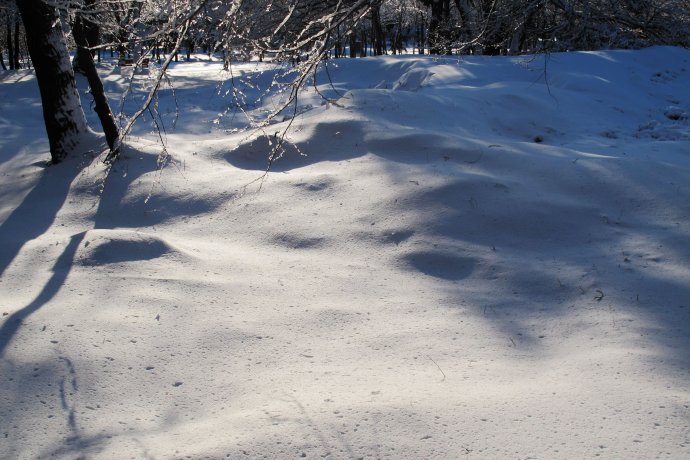 盛京大雪 摄影 叶枫红