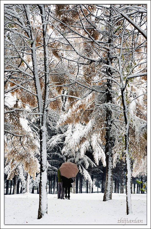 今冬仍有雪----（4） 摄影 指间.蓝