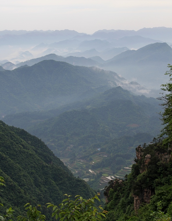 湖南，袁家界山中梯田 摄影 鸿123