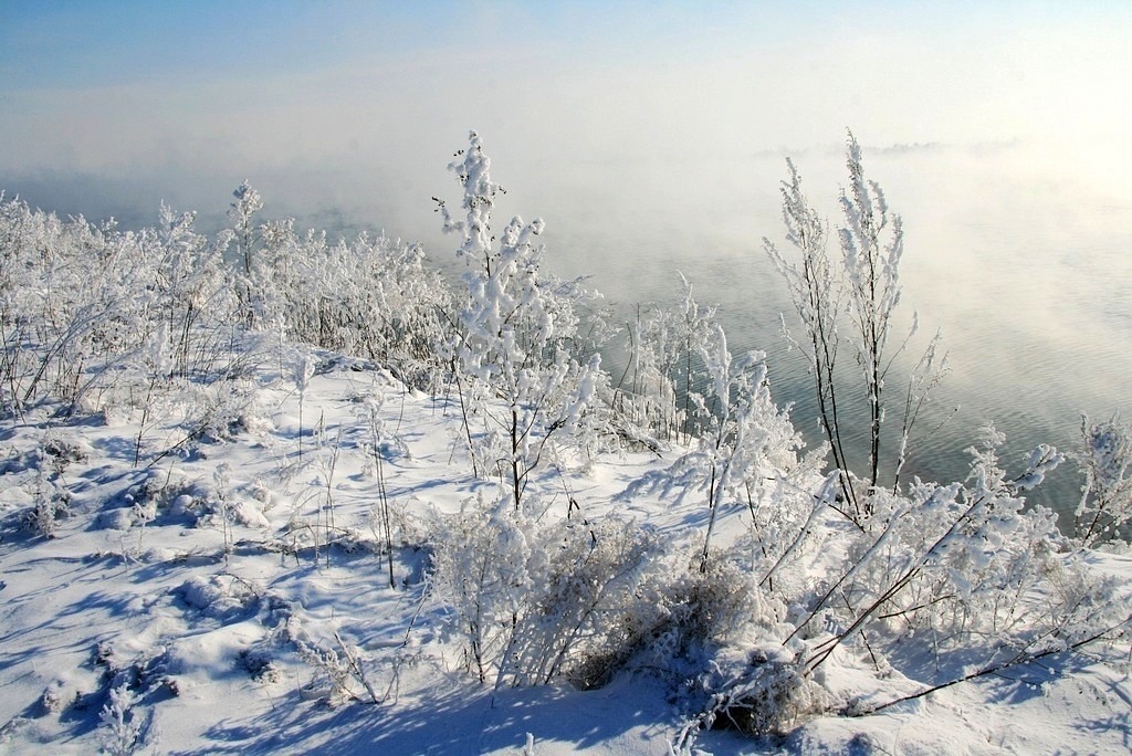 瑞雪氤氲 摄影 秋水孤鹜