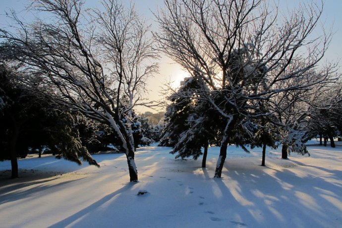 雪 摄影 叶枫红