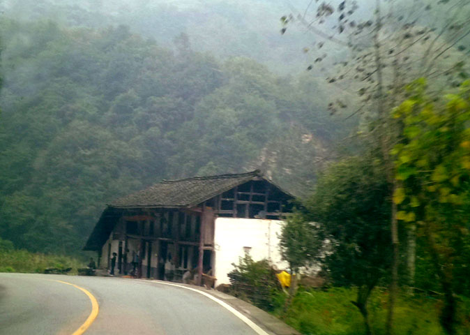 路上的风景 摄影 紫色女人