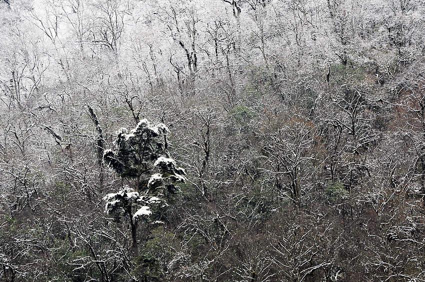 梦幻雪影 摄影 蓉城一朵云