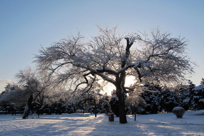 雪 摄影 叶枫红