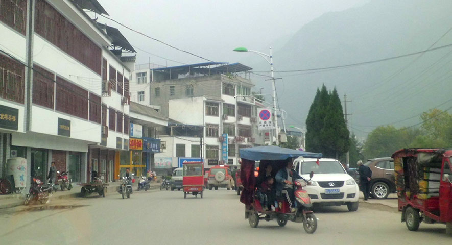 路上的风景 摄影 紫色女人