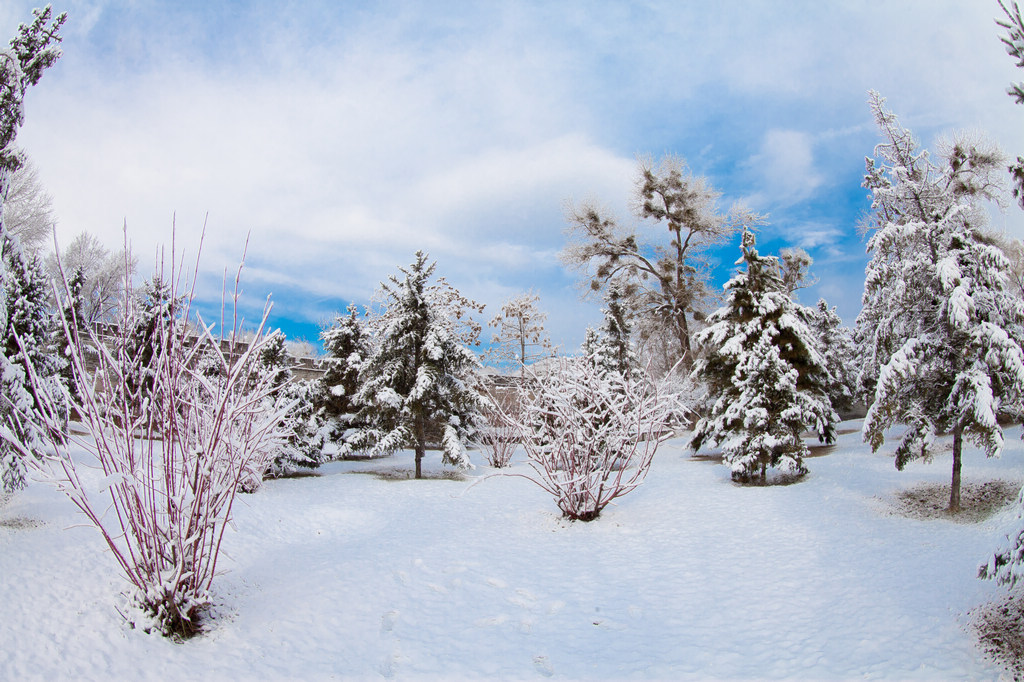 雪景 摄影 静静的小溪