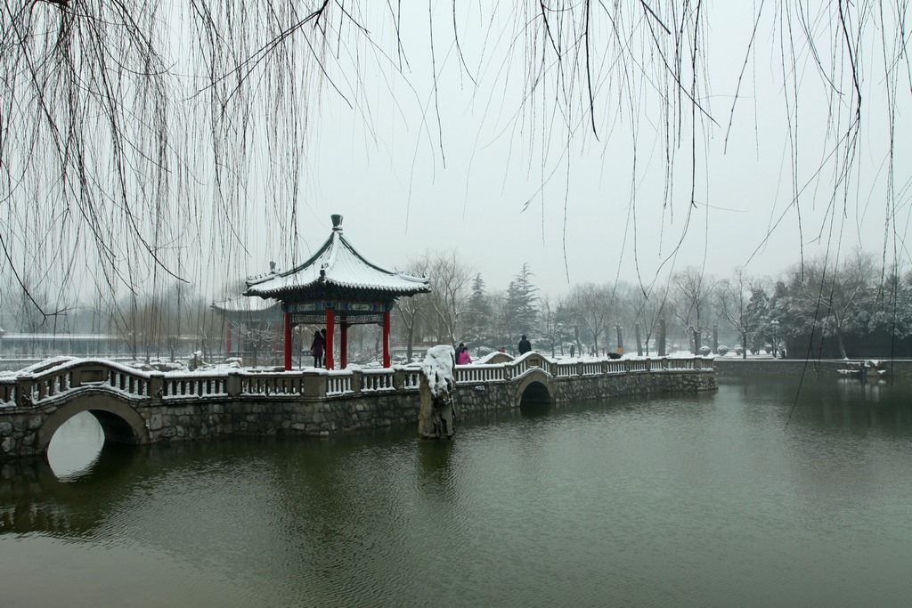 公园雪景 摄影 天天想想