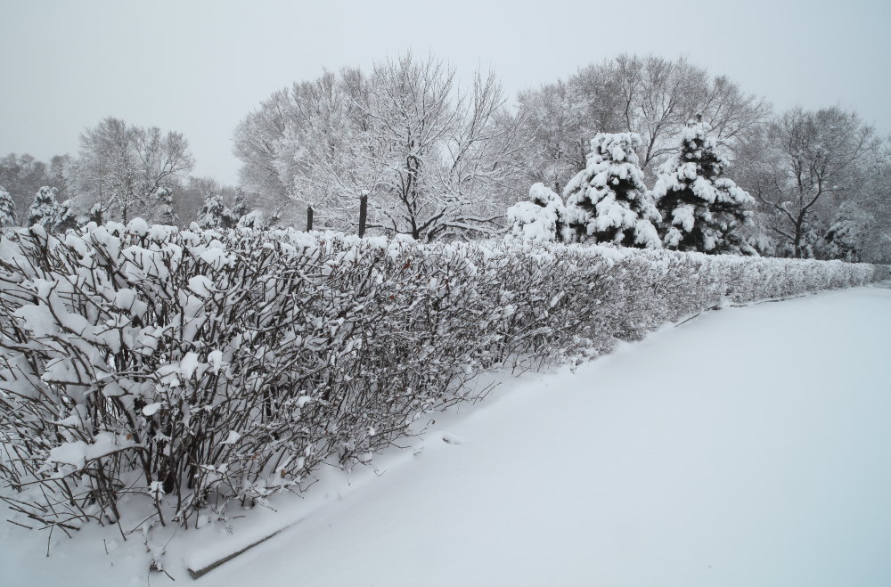 雪 摄影 无限江山