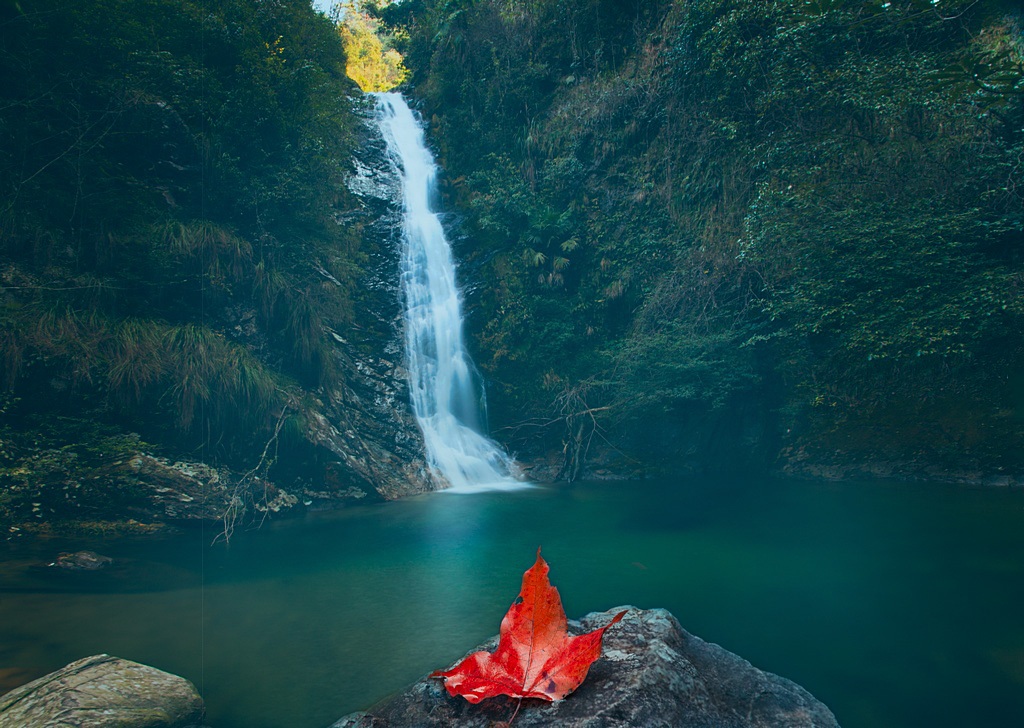 深秋 摄影 玉月