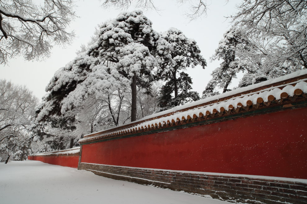 清福陵的雪妆-1 摄影 无限江山