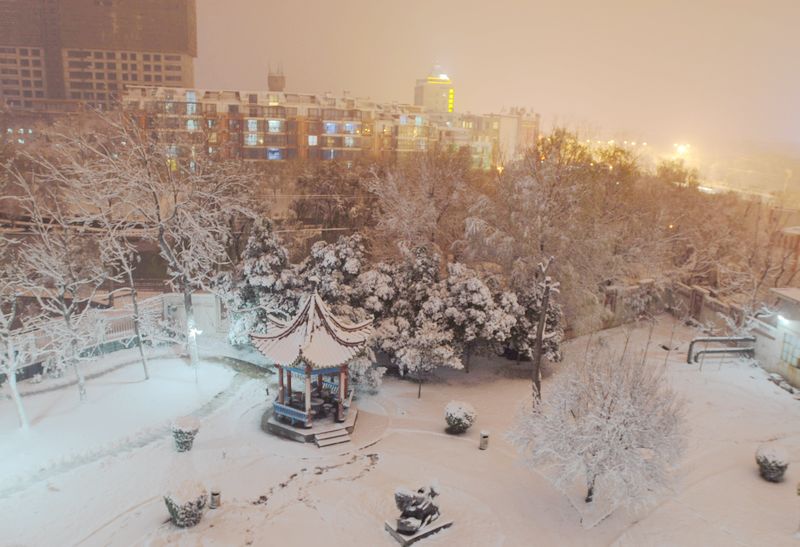 第一场雪 摄影 西域