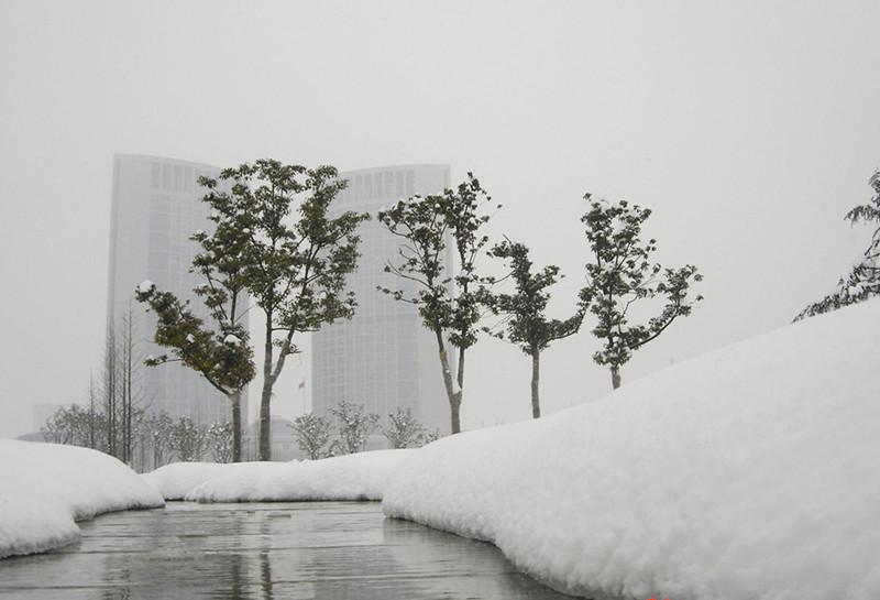 雪景 摄影 yangchuanyin