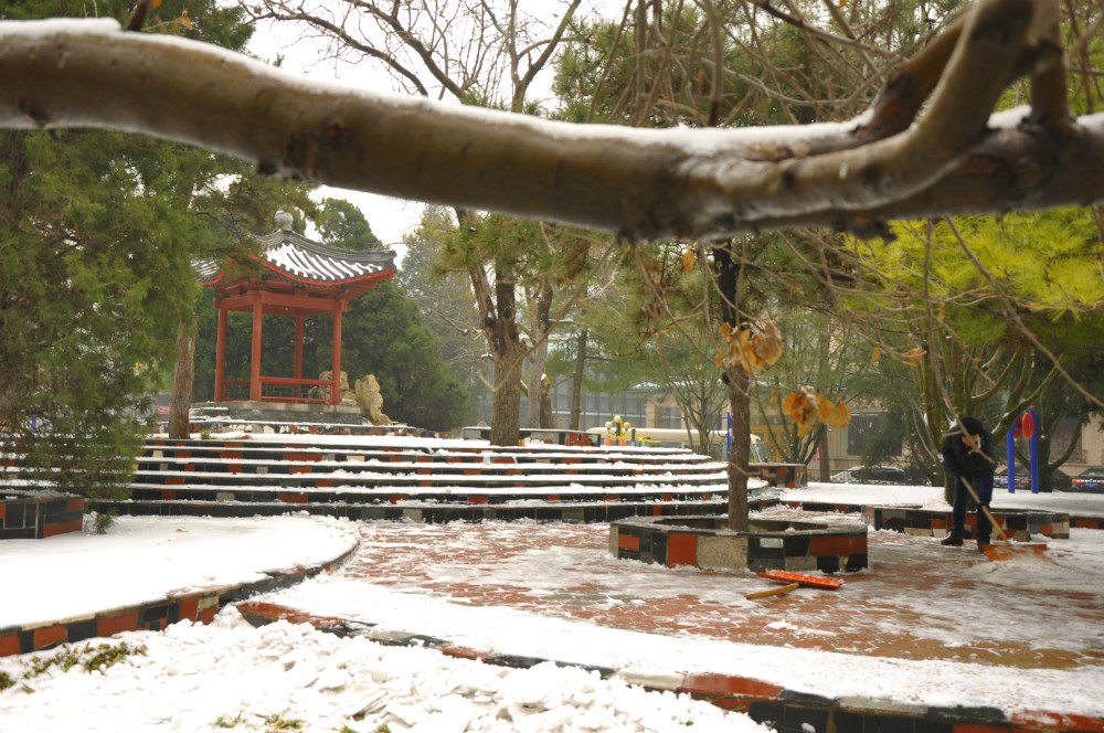 雪后 摄影 石头时