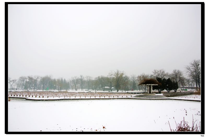 雪景2 摄影 先知三日