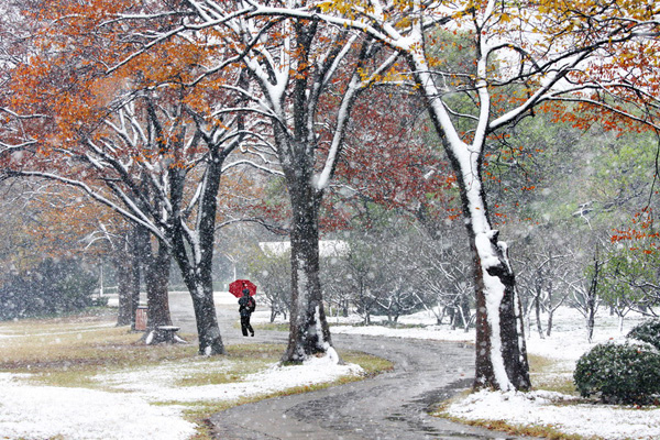 秋雪—1 摄影 jiangjiang54