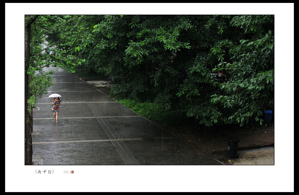 《雨 中 行》 摄影 信灾乐祸