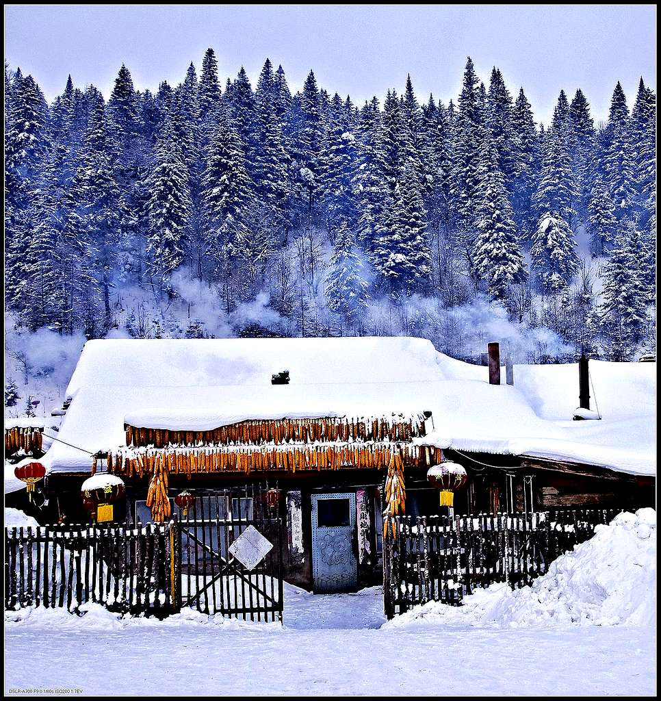 雪乡人家---------2 摄影 沧海之一粟