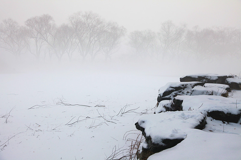 雪雾迷蒙 摄影 秦川76