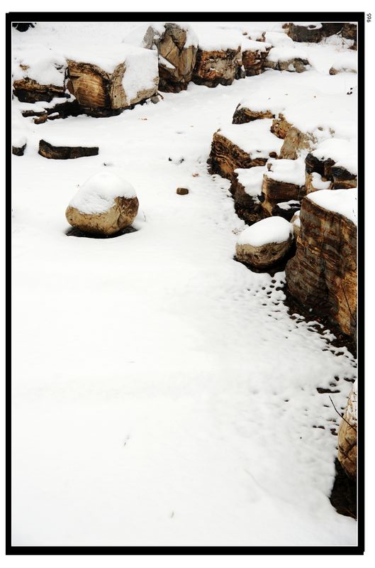 雪景5 摄影 先知三日