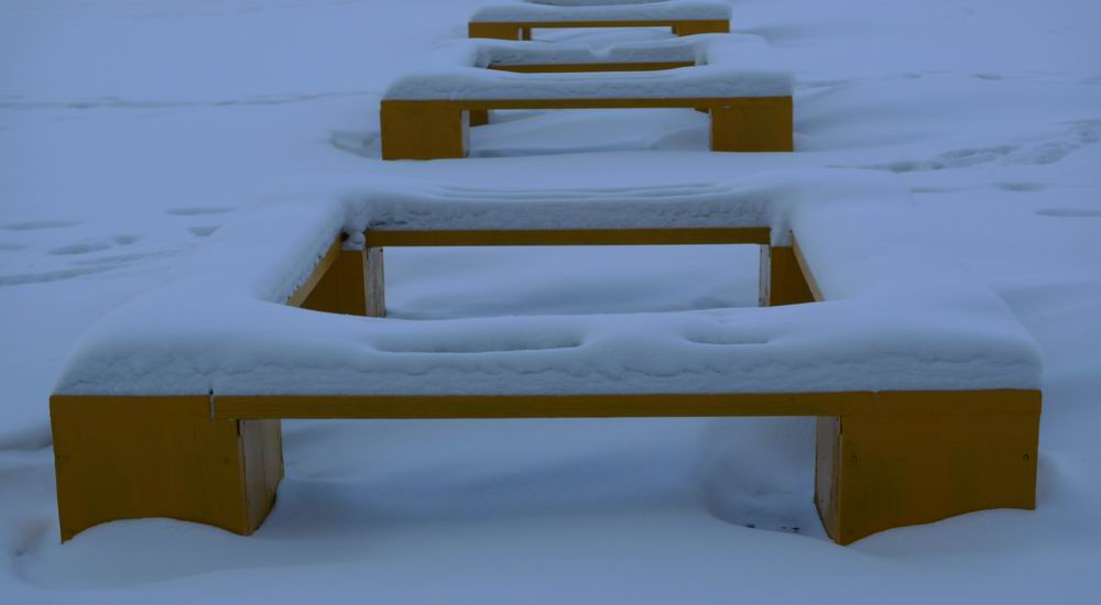 雪 摄影 寒门学子