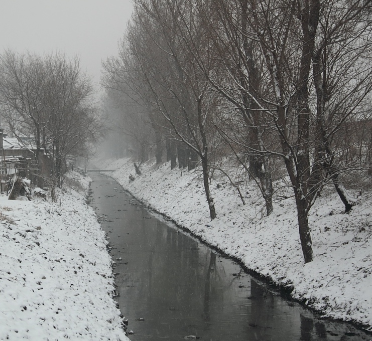 雪景 摄影 老倔头