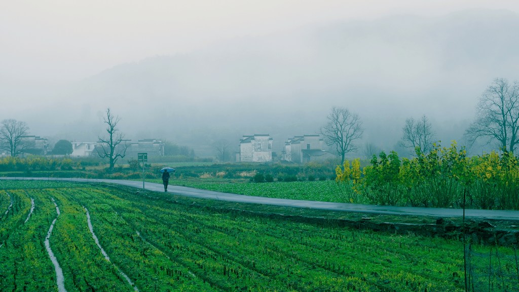 皖南烟雨山村 摄影 色颖